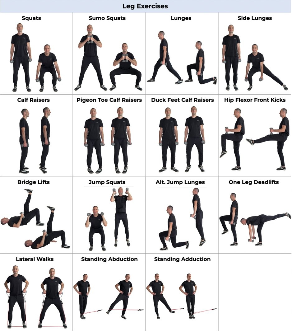 12 Week Gym Workout Program For Beginners PDF Calendar Pictures