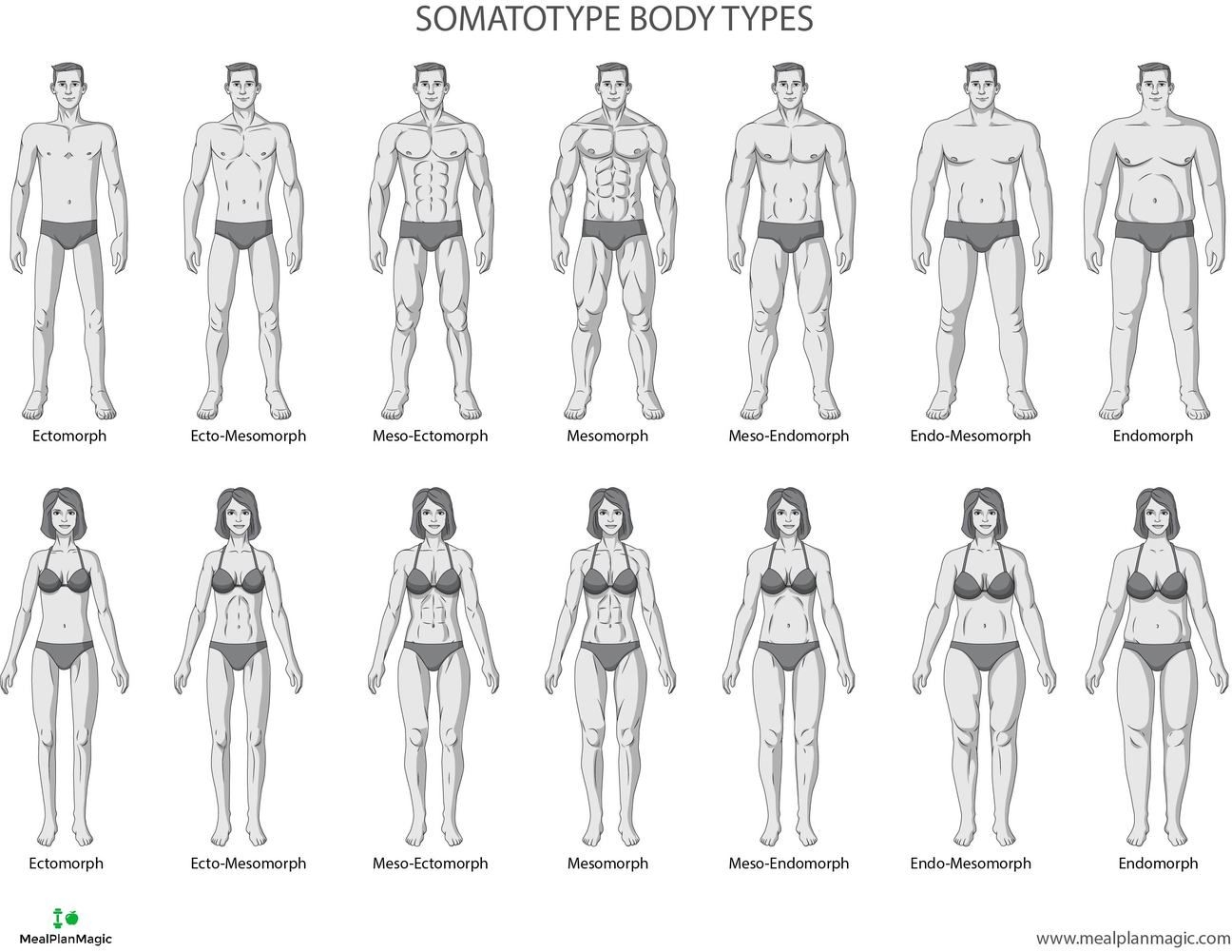 13 Mens Body Types Ideas Mens Body Types Body Types Body