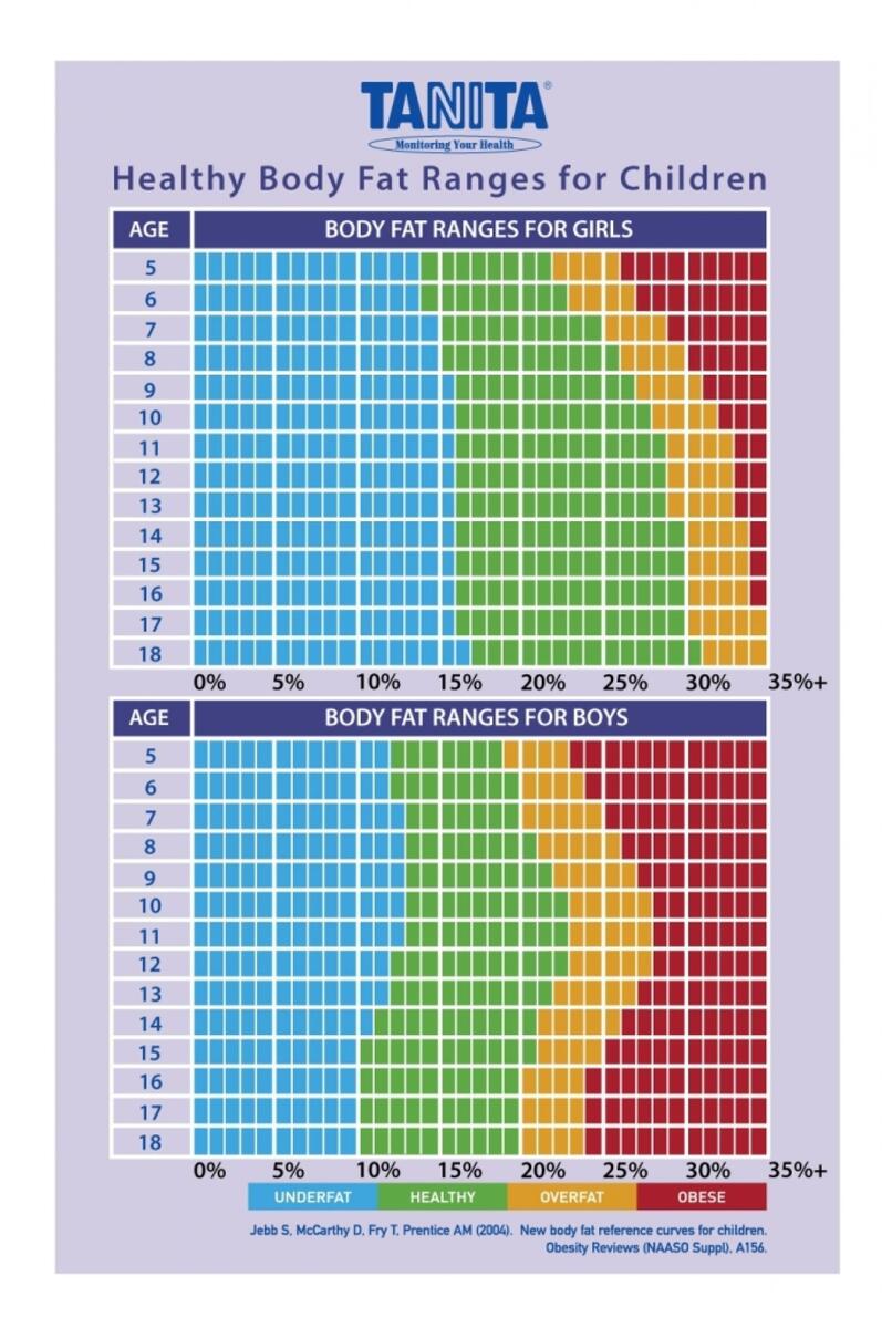 Teenage Girl Body Fat Percentage Chart In PDF Download Template