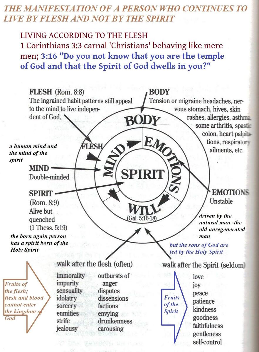 15 Spirit Soul Body Diagrams Ideas Body Soul Spirit Diagram Spirit Soul Bible Study Help