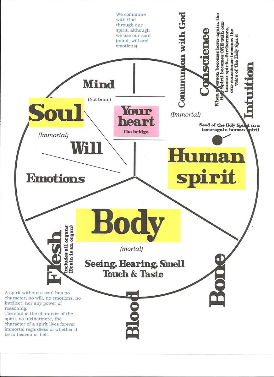 22 Body Soul Spirit Ideas To Save Today Spirit Spirit Soul Bible Knowledge And More