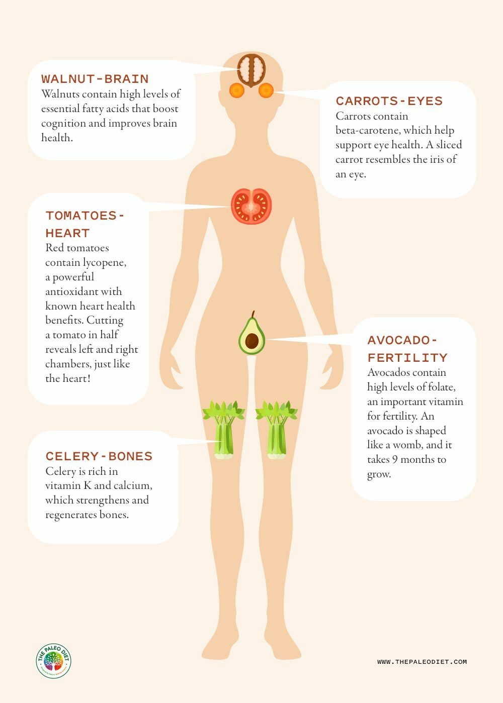 5 Foods That Look Like The Body Parts They Benefit The Paleo Diet
