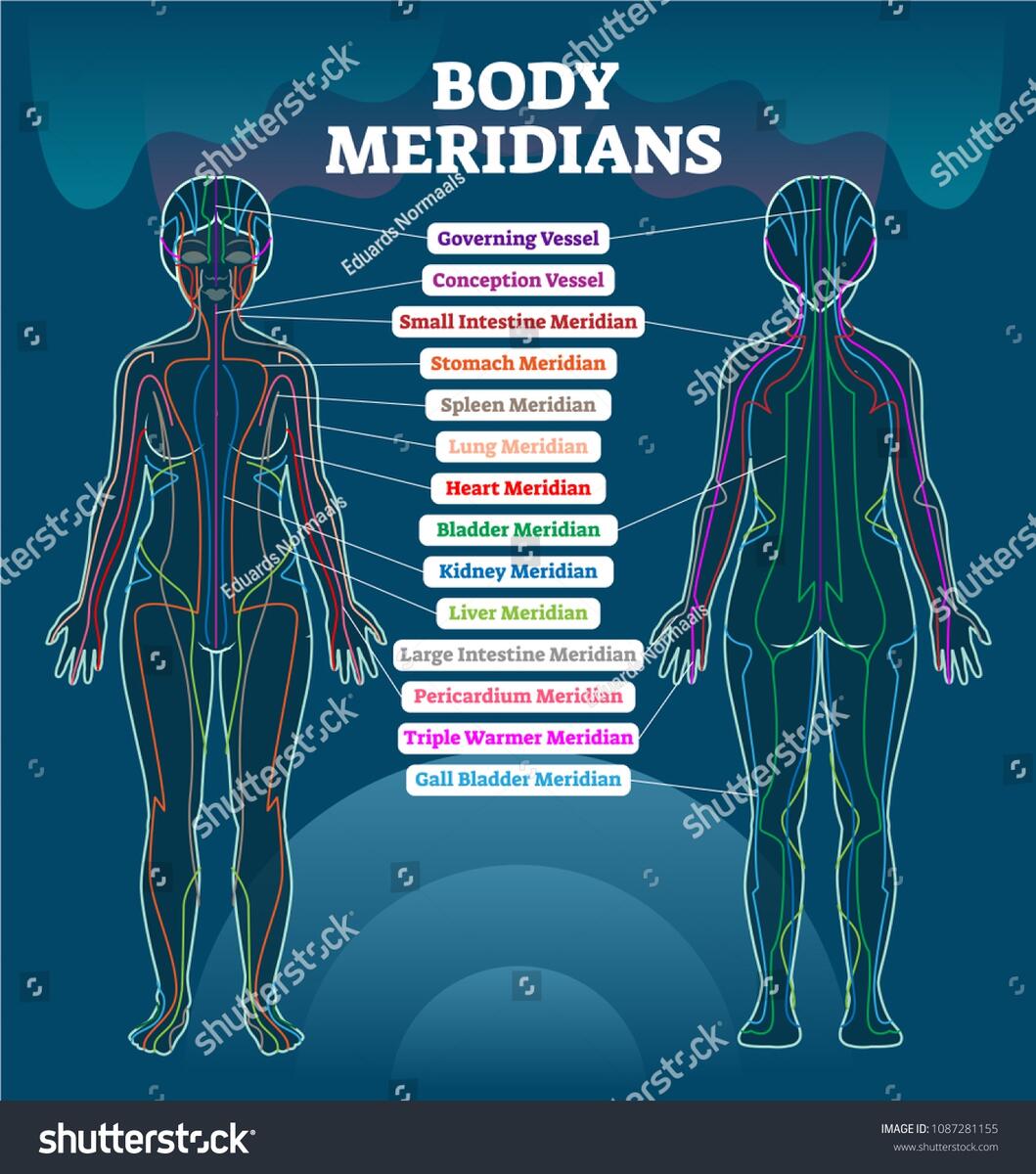 54 Reflexology Meridian Chart Royalty Free Images Stock Photos Pictures Shutterstock 54 Reflexology Meridian Chart Royalty Free Images Stock Photos Pictures Shutterstock