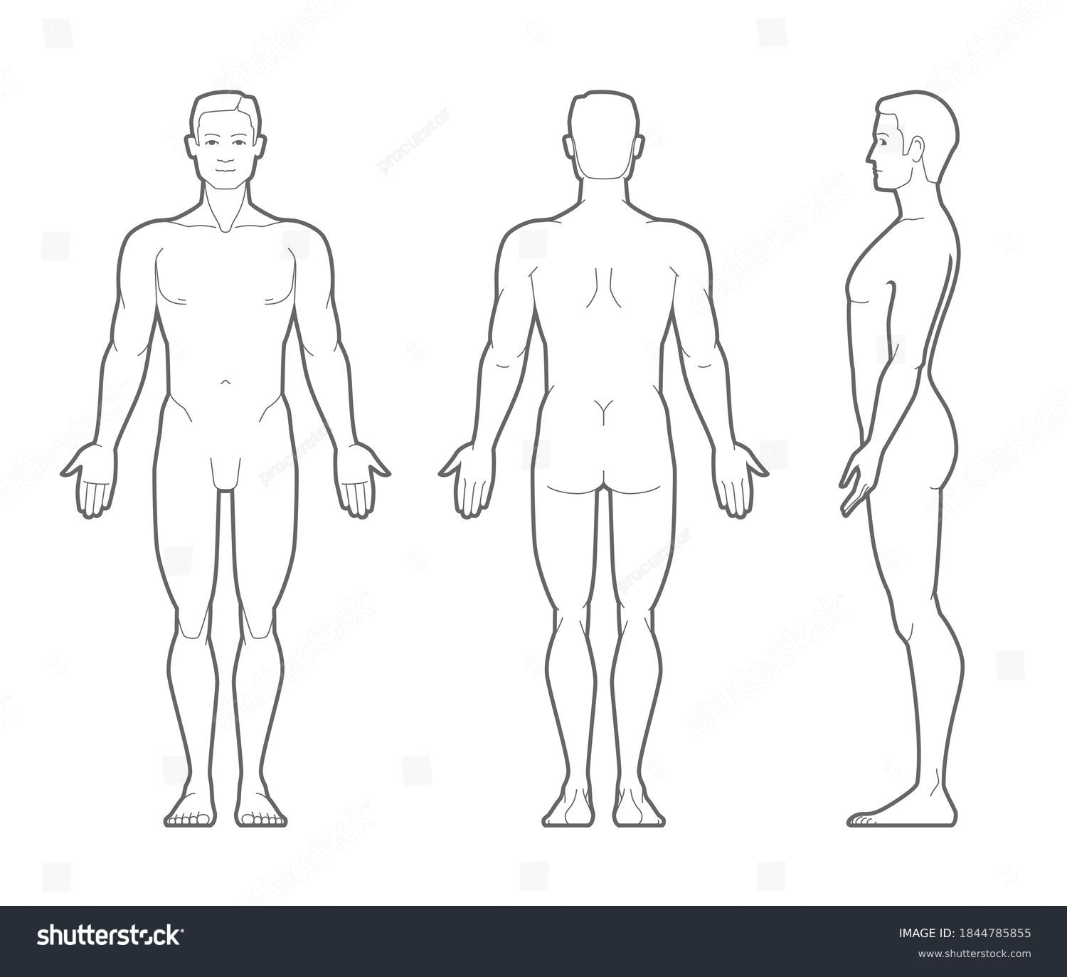 84 Thousand Male Body Outline Royalty Free Images Stock Photos Pictures Shutterstock