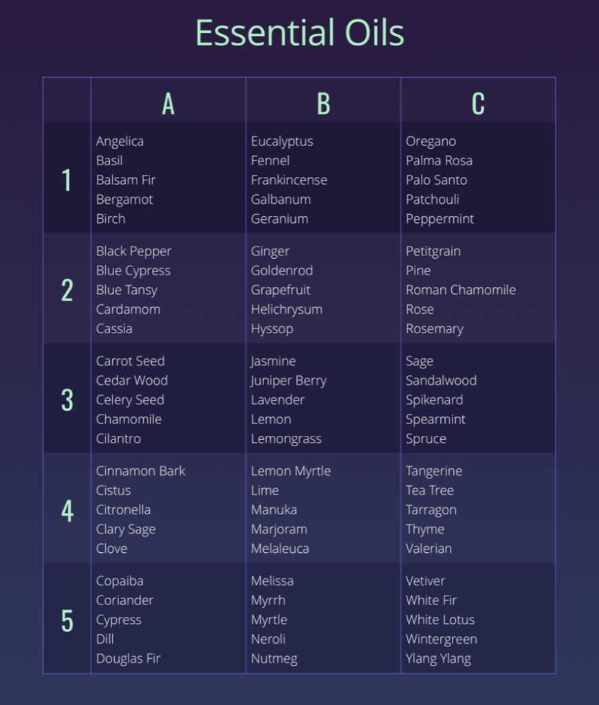What Is The Body Code The Body Emotions