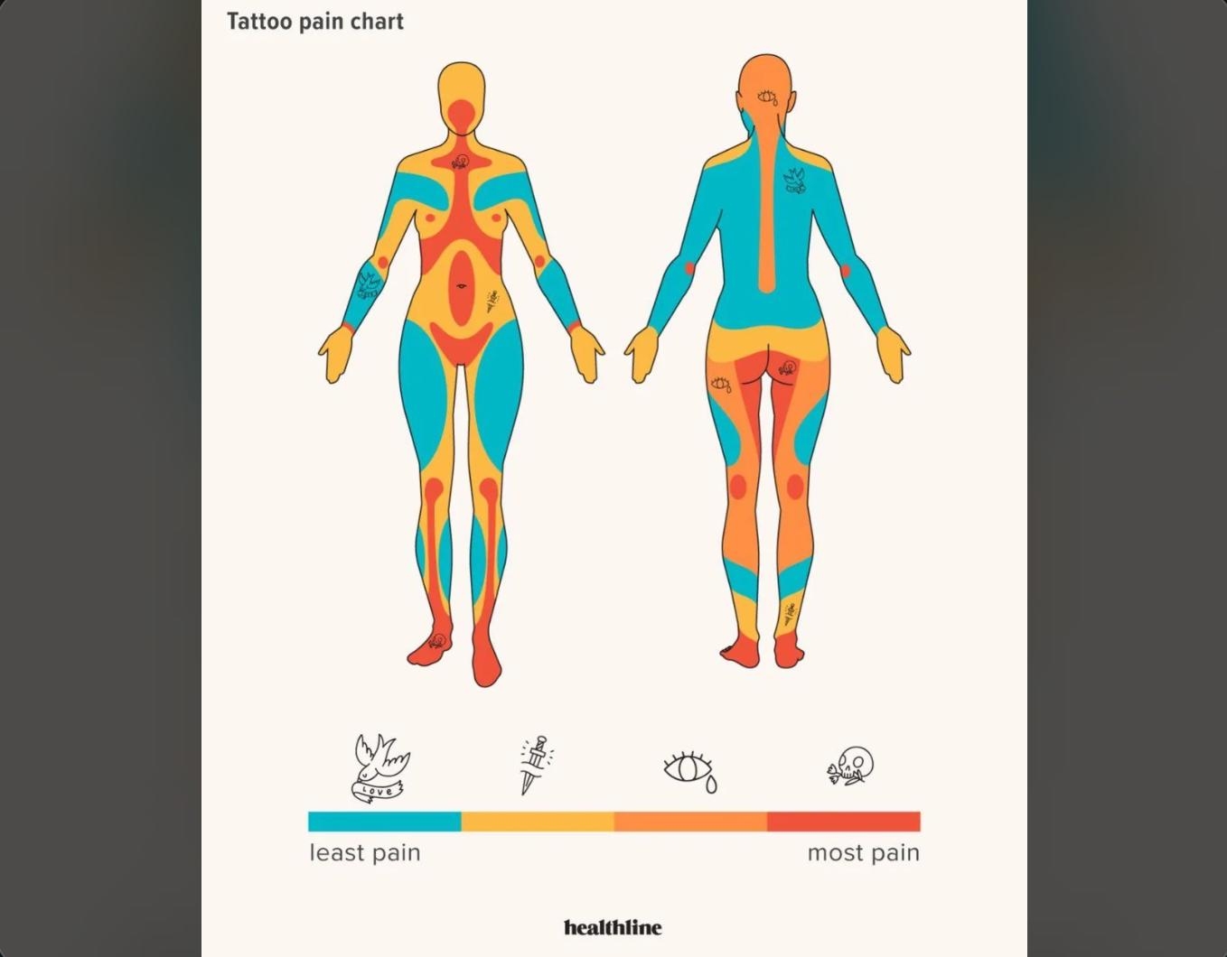 A Cool Guide Of A Tattoo Pain Chart R Coolguides