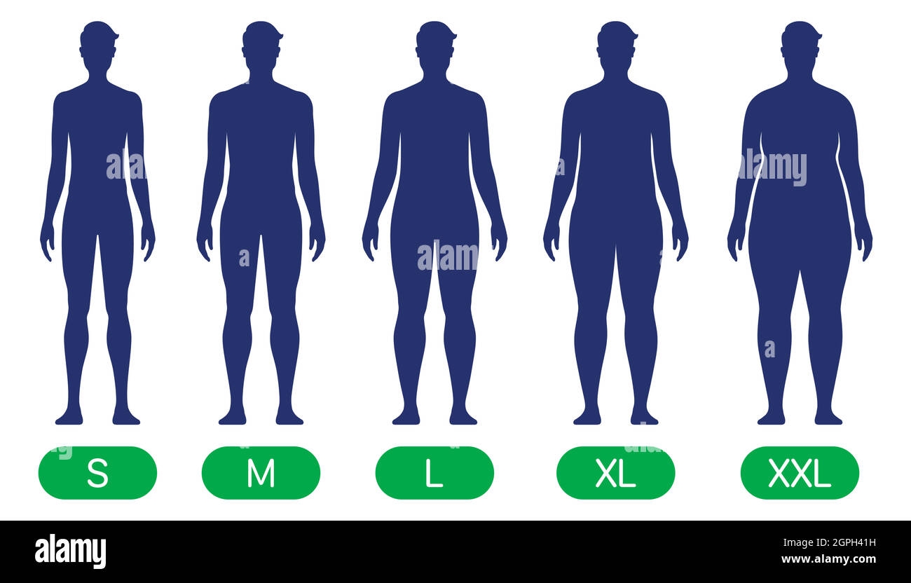 A Person With Different Body Size Types From Slim To XXL Standard Body Shapes Vector Chart Stock Vector Image Art Alamy