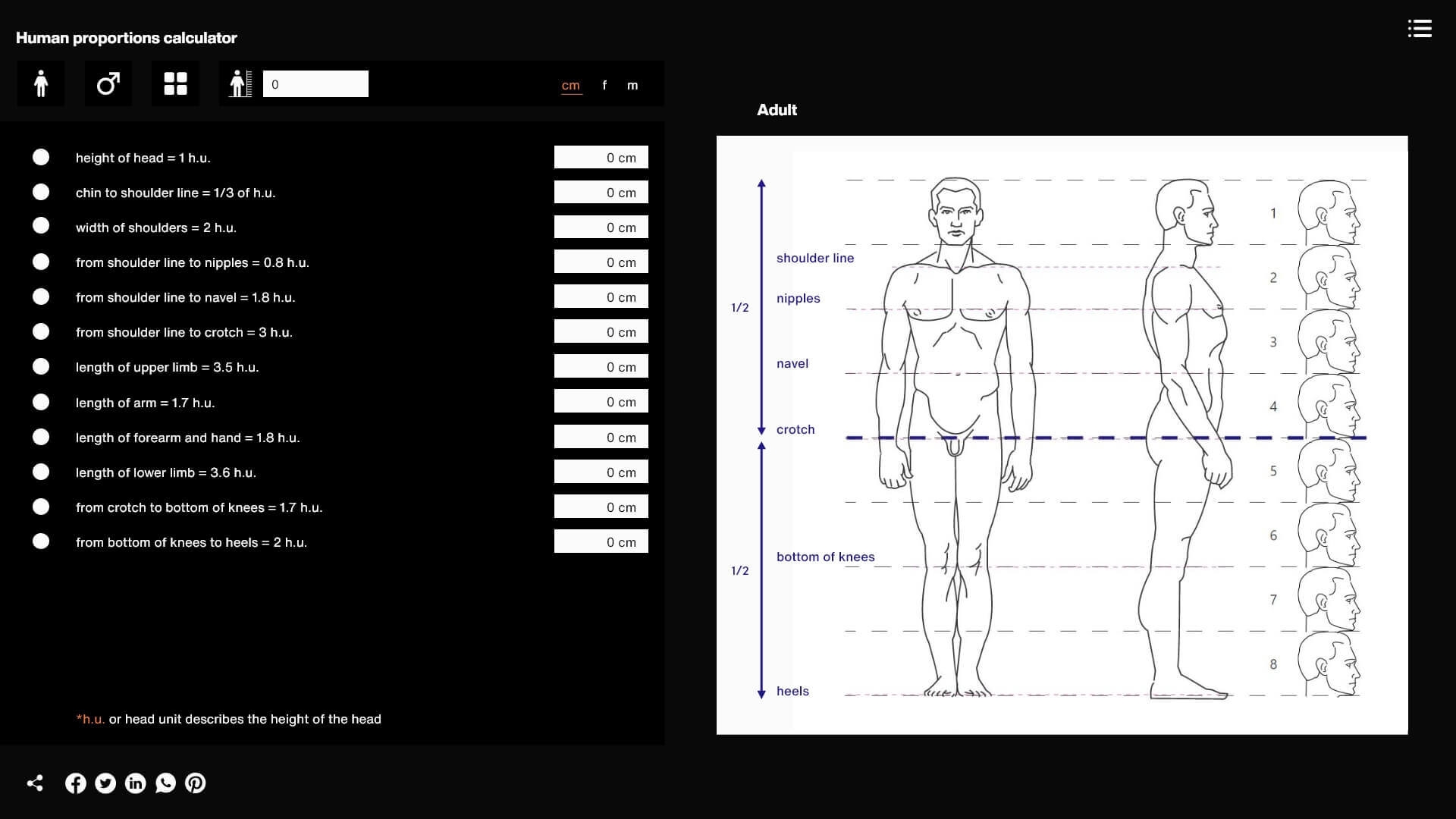 About Human Proportions Calculator Anatomy For Sculptors Proko Human Proportions Average Figure