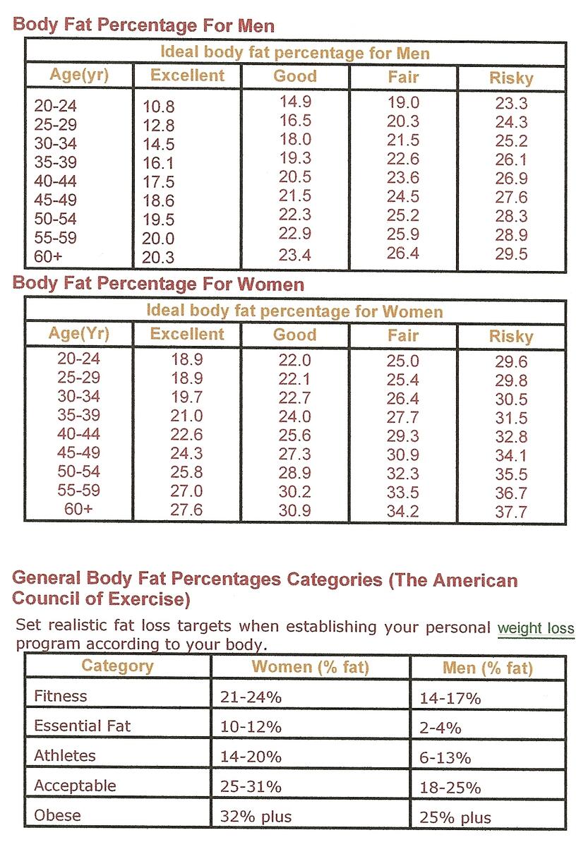 ACE Body Fat Percentage Chart Jpg