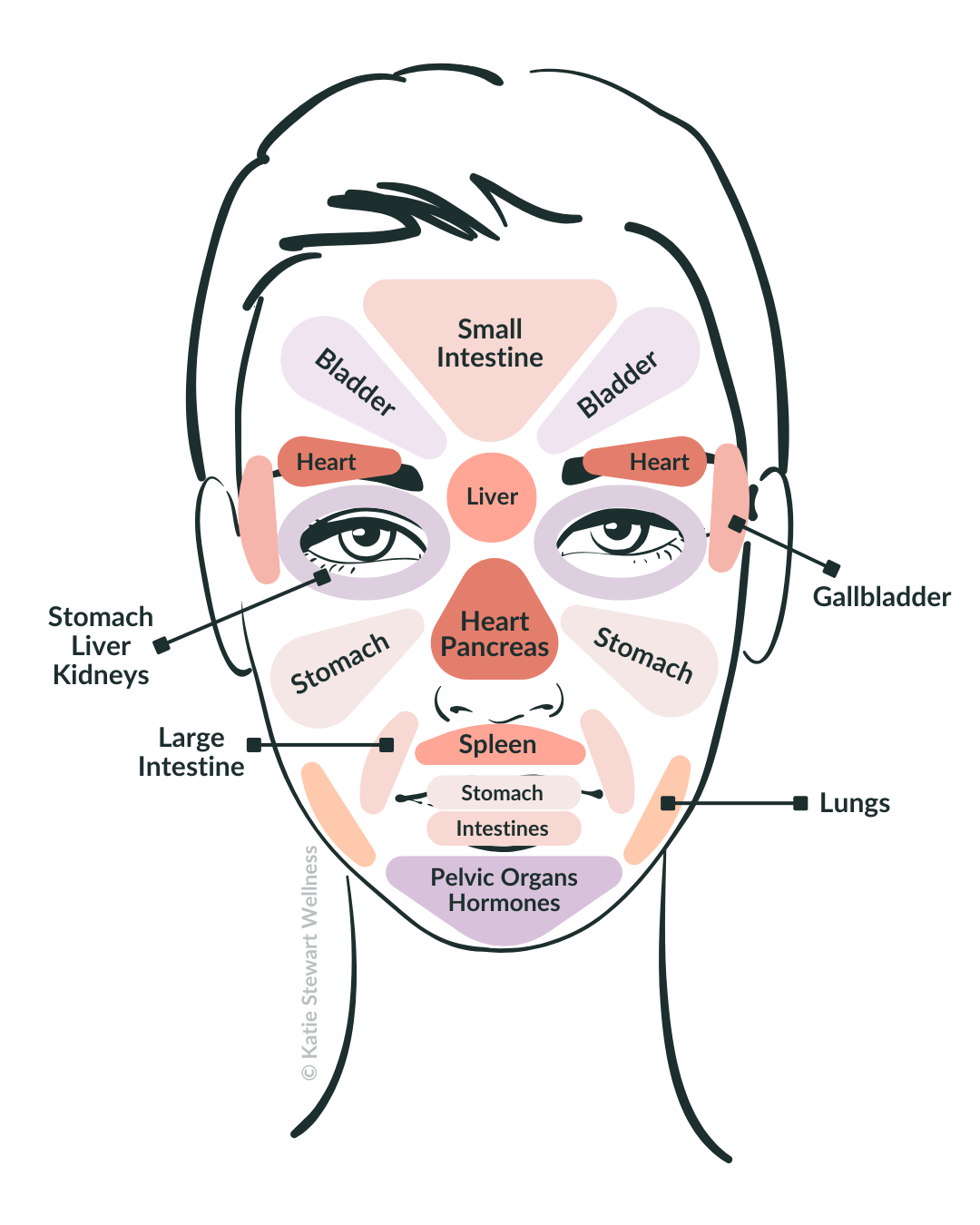 Acne Face Mapping What Your Breakouts Mean Katie Stewart Acne Nutritionist