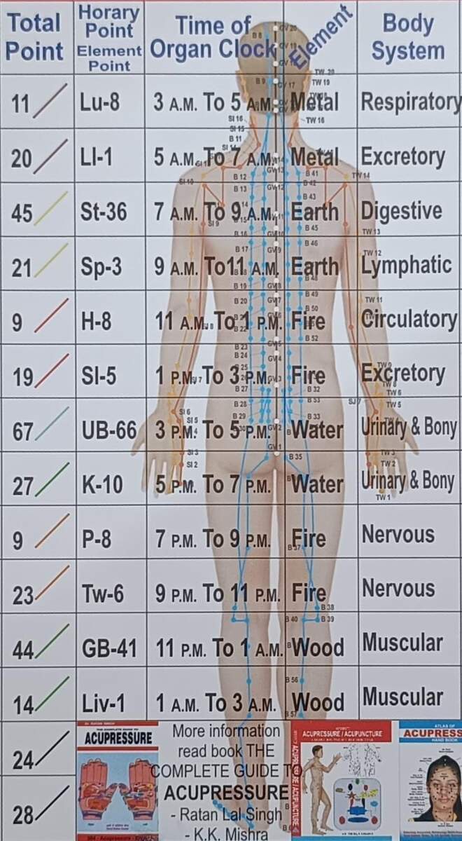 Acupressure Chart Accupressure Summery Amazon In Health Personal Care Acupressure Chart Accupressure Summery Amazon In Health Personal Care