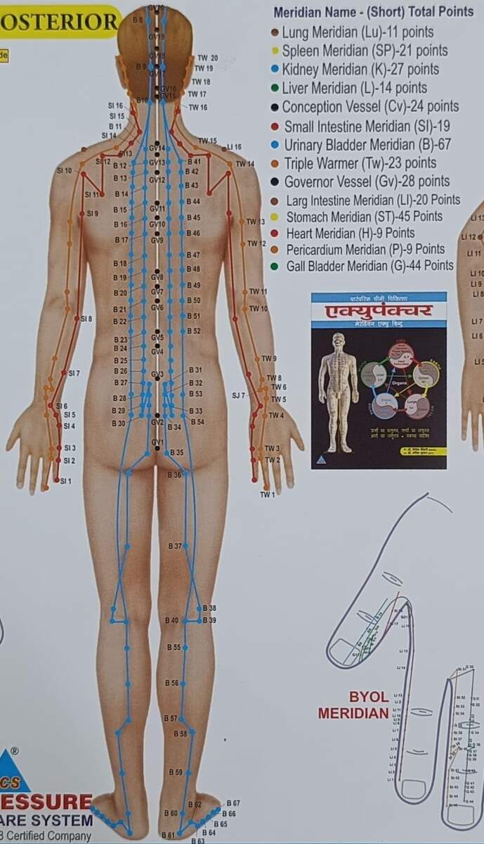 Acupressure Chart Accupuncture Points Amazon In Health Personal Care