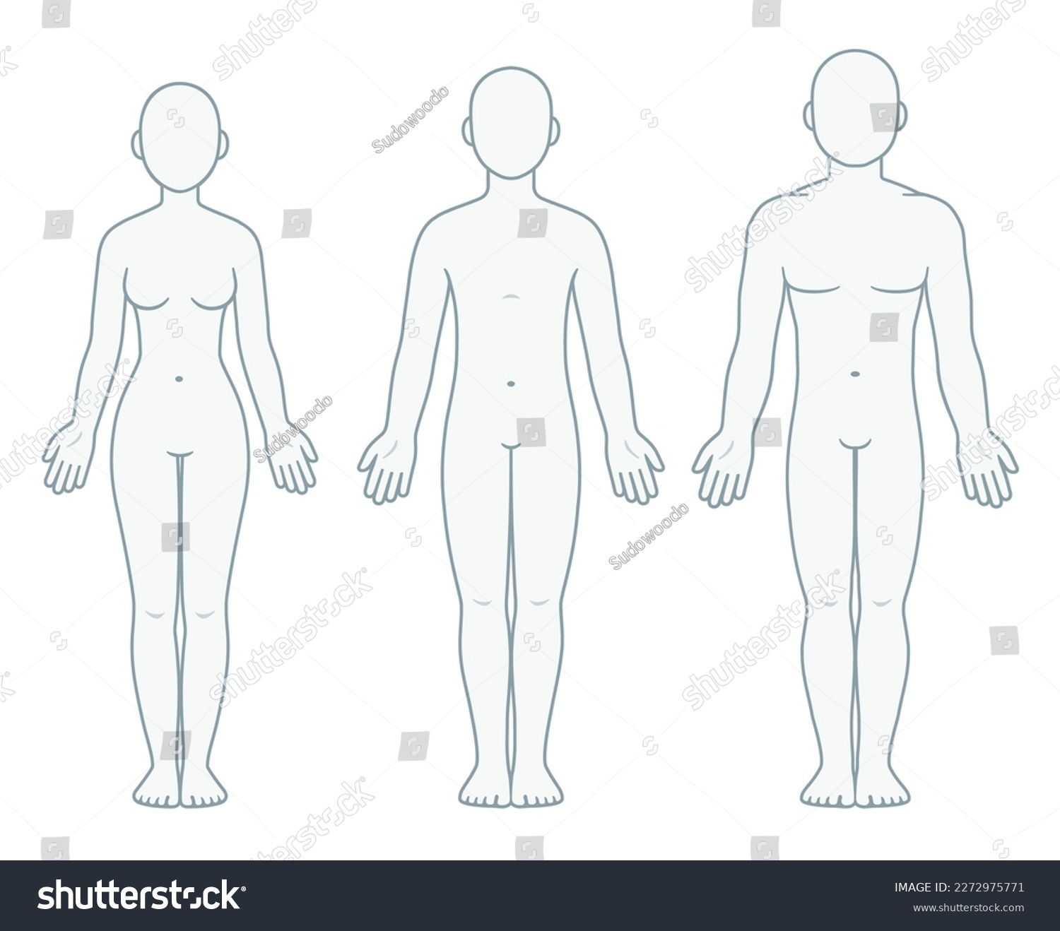 Adult Male Female Unisex Body Chart Stock Vector Royalty Free 2272975771 Shutterstock