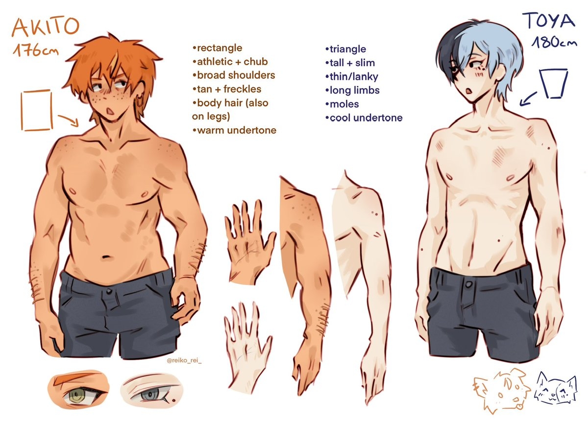 Akitou Body Type Hcs