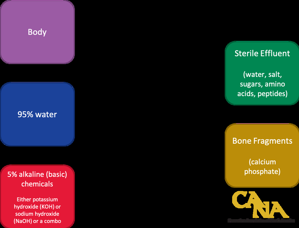 Alkaline Hydrolysis Cremation Association Of North America CANA The Pricey Effects Of Too Acid Or Too Alkaline Well Water ETR Laboratories Inc