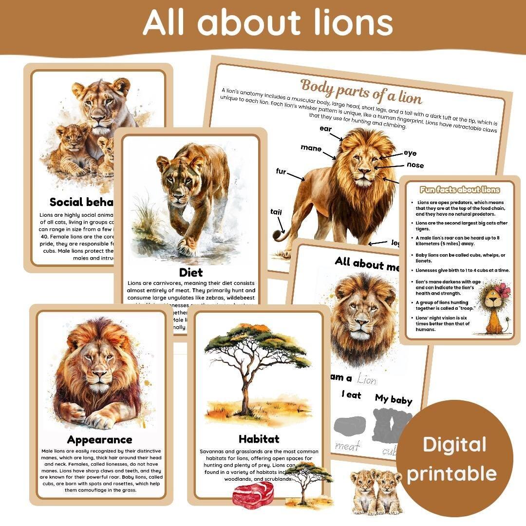 All About Lions Learning Pack Lions Rainforest Jungle Animals Flashcards Body Parts Of A Lion Digital Printables Etsy All About Lions Learning Pack Lions Rainforest Jungle Animals Flashcards Body Parts Of A Lion Digital Printables Etsy