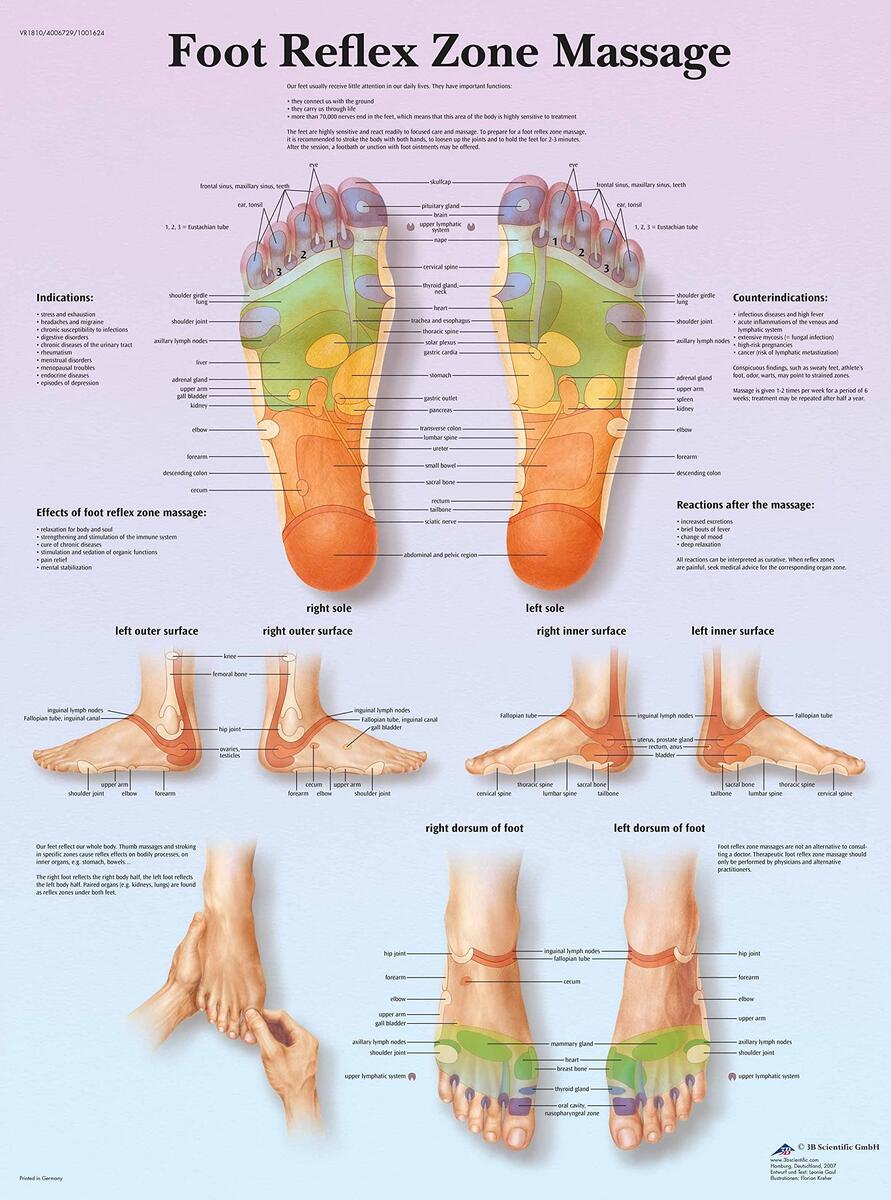 AllStarMedia Foot Reflexology Chart Human Body System Anatomy Poster Educational Reflex Zone Diagram A3 30x42CM Unframed Amazon Co Uk Stationery Office Supplies AllStarMedia Foot Reflexology Chart Human Body System Anatomy Poster Educational Reflex Zone Diagram A3 30x42CM Unframed Amazon Co Uk Stationery Office Supplies