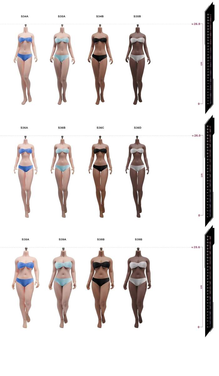 Amazon 1 6 Scale Female Body 12inch TBLeague Super Flexible Anime Girl Large Bust Seamless Action Figure Body Collection S36A Pale Skin Without Head Toys Games