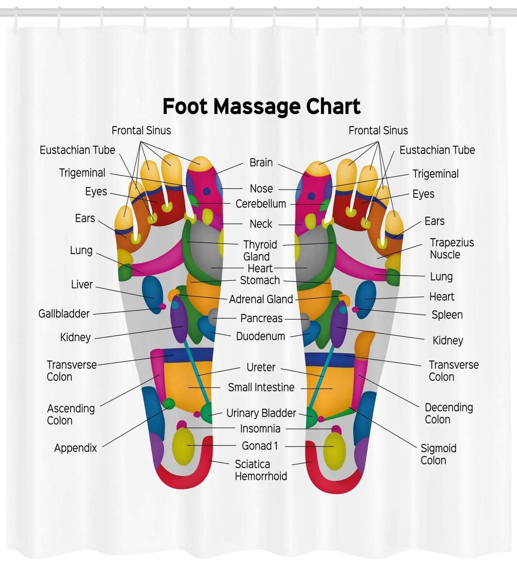 Foot Pain Chart Related To Knee Pain Arthritis Knee Pain Centers