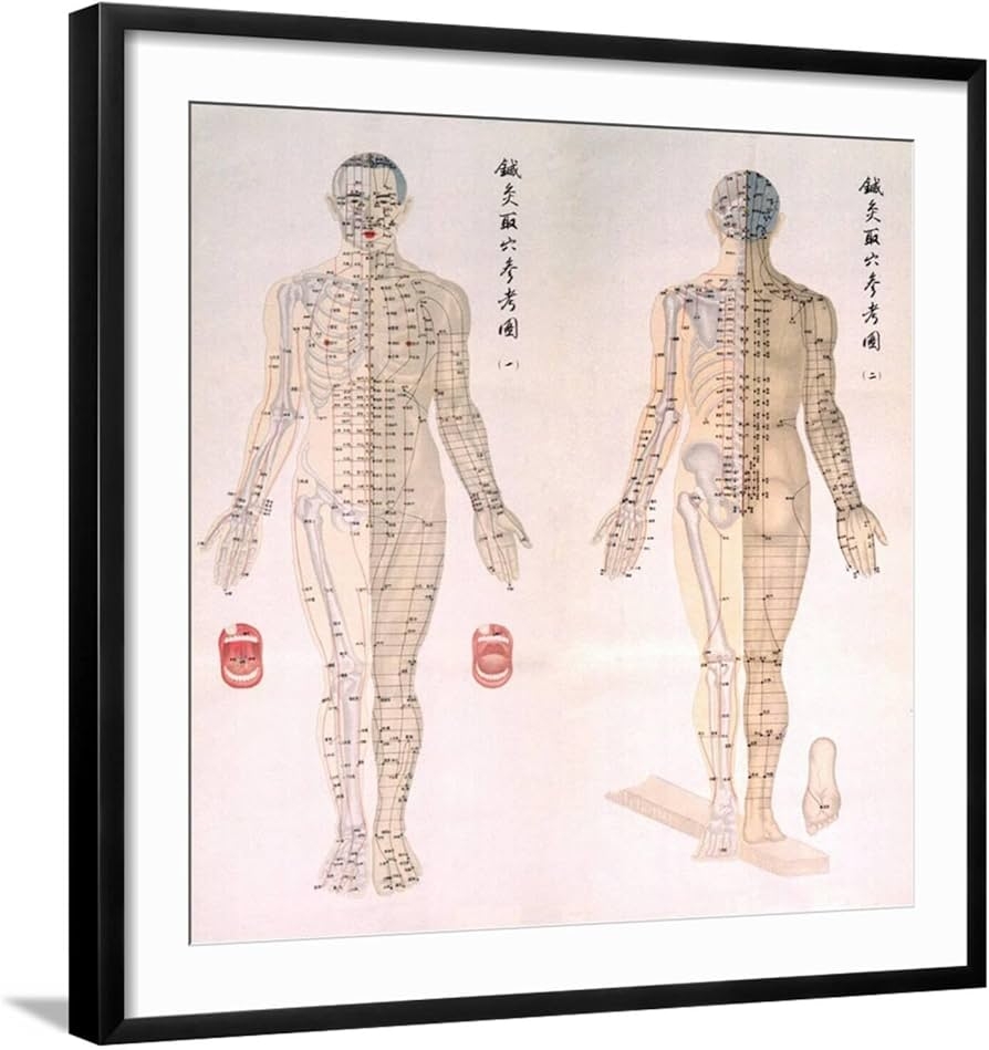 Amazon ART COM Wall Art Print Chinese Chart Of Acupuncture Points On A Male Body 1956 On Black Frame 29 X 29 Posters Prints Amazon ART COM Wall Art Print Chinese Chart Of Acupuncture Points On A Male Body 1956 On Black Frame 29 X 29 Posters Prints