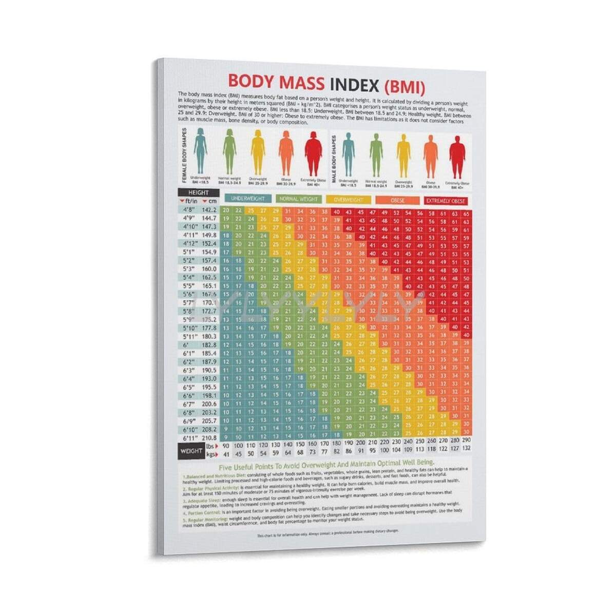 Amazon Body Mass Index Chart Bmi Of Man And Woman Scale Poster 6 Canvas Painting Posters And Prints Wall Art Pictures For Living Room Bedroom Decor 12x18inch 30x45cm Frame Style Office Products