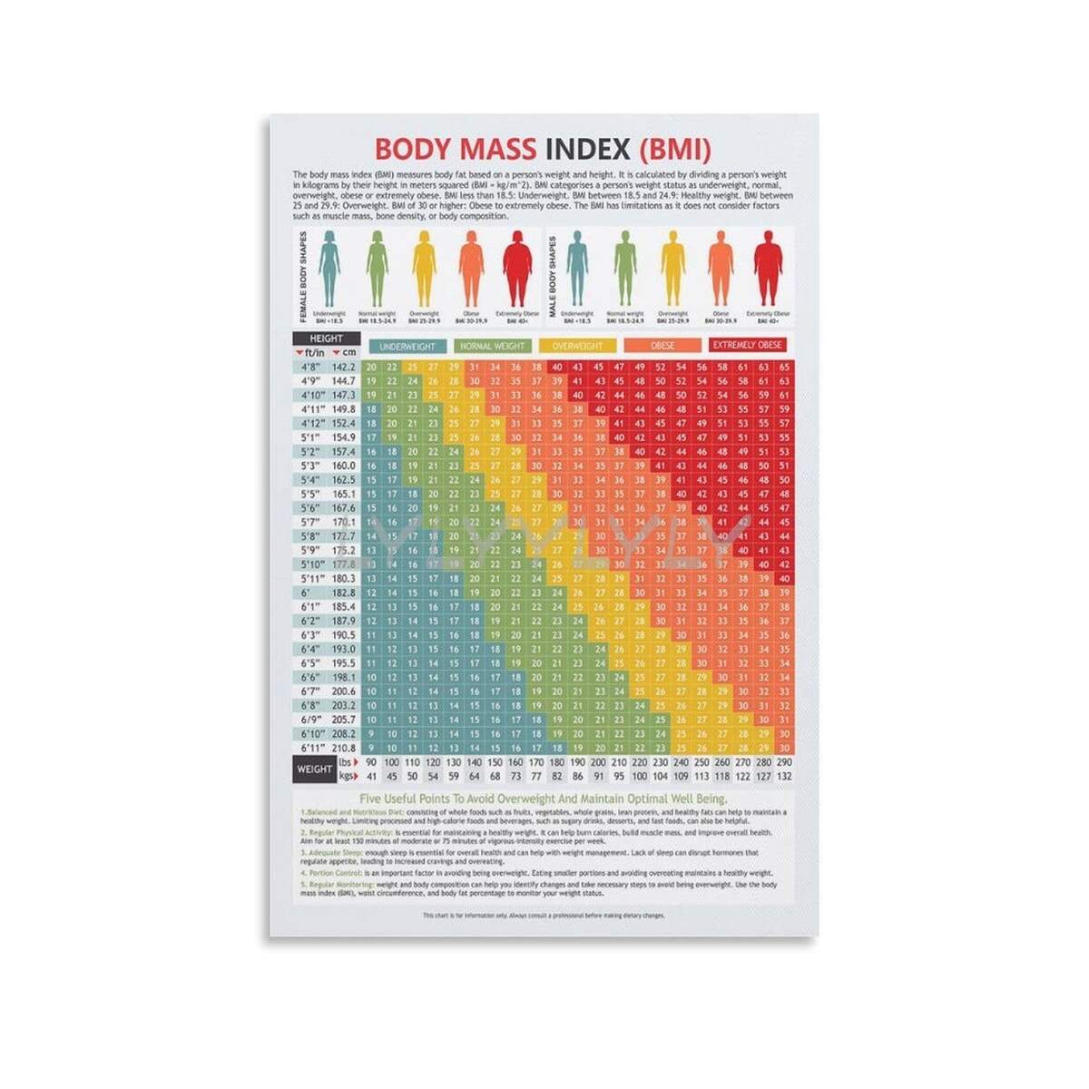 Amazon Body Mass Index Chart Bmi Of Man And Woman Scale Poster 6 Canvas Painting Posters And Prints Wall Art Pictures For Living Room Bedroom Decor 20x30inch 50x75cm Unframe Style Posters Prints