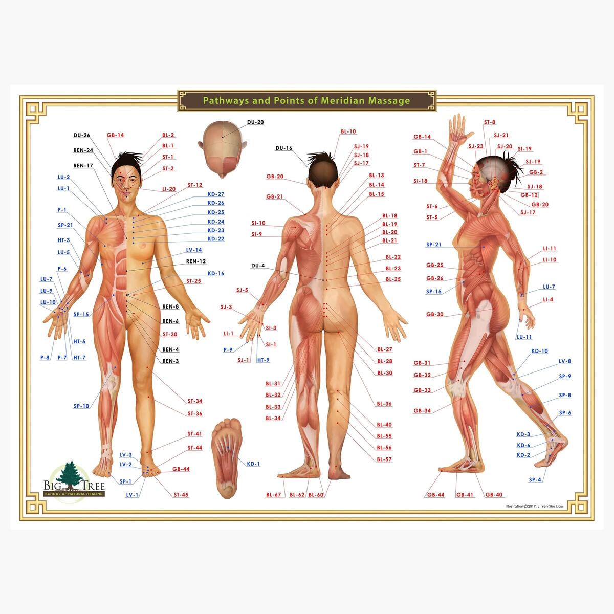 Amazon Cindy Black Acupressure Chart 12 Meridians Pressure Points Guide For Reflexology Massage Energy Healing And Holistic Wellness J Yen Shu Liao Office Products Amazon Cindy Black Acupressure Chart 12 Meridians Pressure Points Guide For Reflexology Massage Energy Healing And Holistic Wellness J Yen Shu Liao Office Products