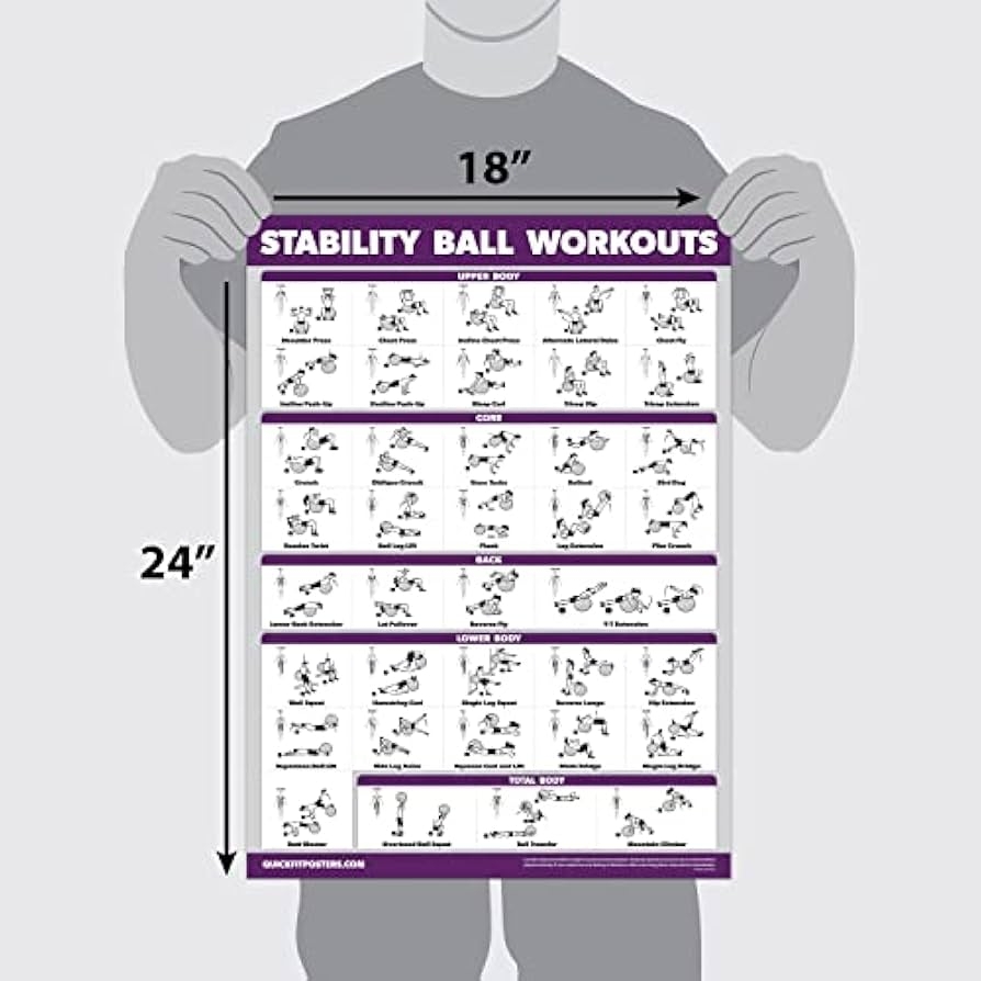 Amazon Exercise Ball Workout Poster Stability Ball Routine Balance Ball Laminated 18 X 24 Sports Outdoors