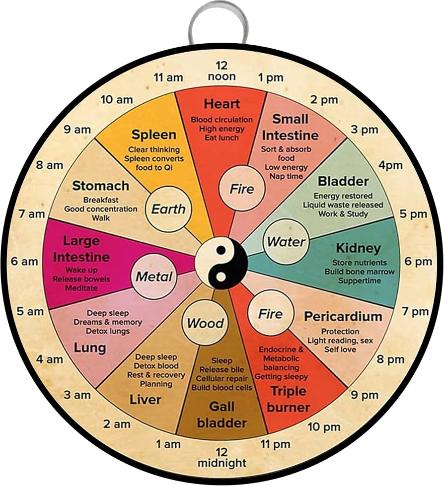 Amazon Habilboi Organ Clock Knowledge Wall Art Round Retro Metal Tin Sign 24 Hour Circadian Poster Chinese Medicine Healthy Vintage School Home Plaque Poster Gift 15x15cm Home Kitchen