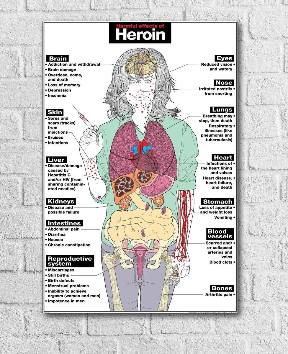 The Effects Of Alcohol Drugs On The Body
