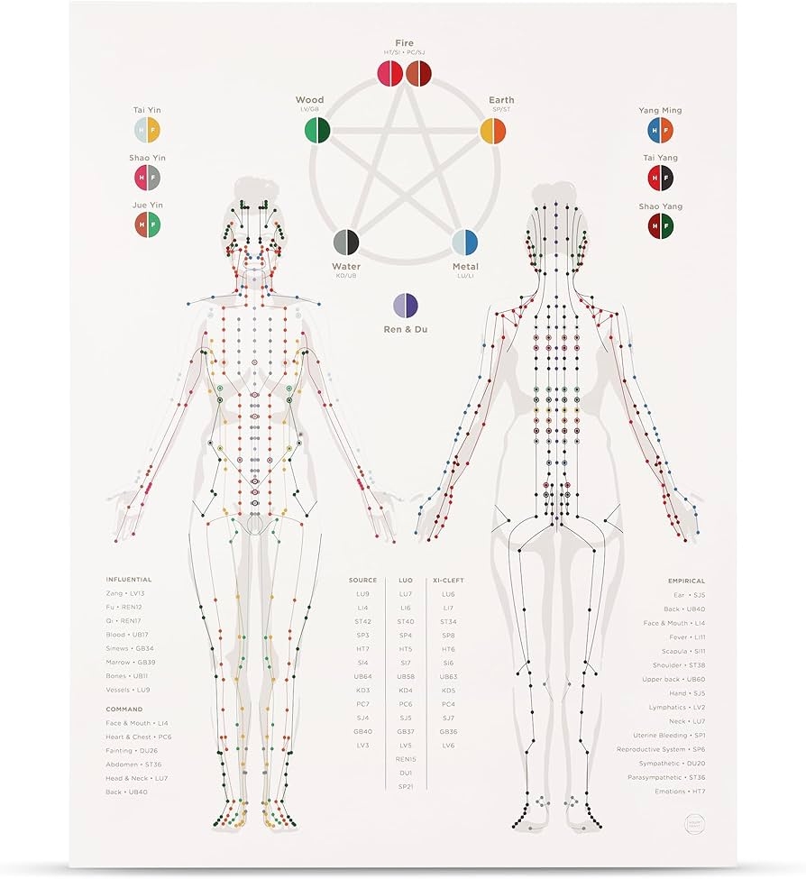 Amazon Holism Prints Acupuncture Meridian Chart With Female Body TCM Chinese Medicine 17 X 22 Health Household