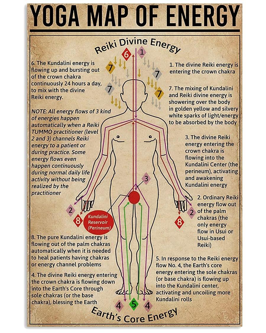 The Human Body Energy Centers The Seven Chakras Fit Lotus