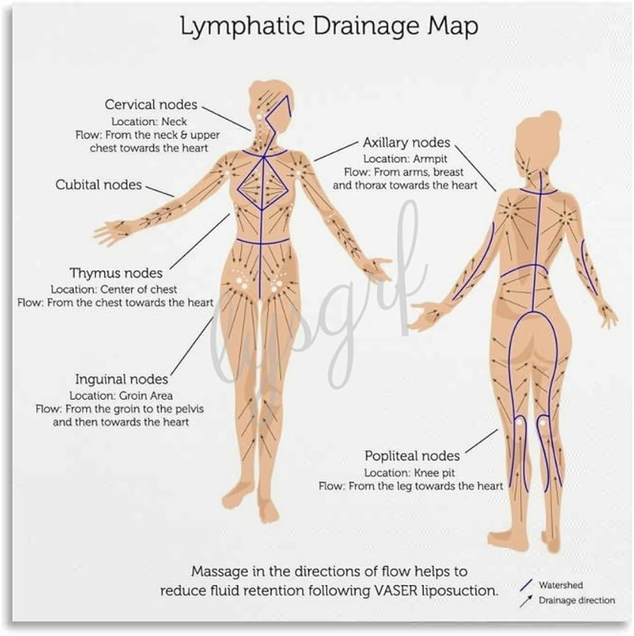 Amazon Lymphatic Self Massage Posters Facial Lymphatic Drainage Massage Poster 3 Canvas Painting Posters And Prints Wall Art For Living Room Bedroom Decor 24x24inch 60x60cm Unframe Style Posters Prints