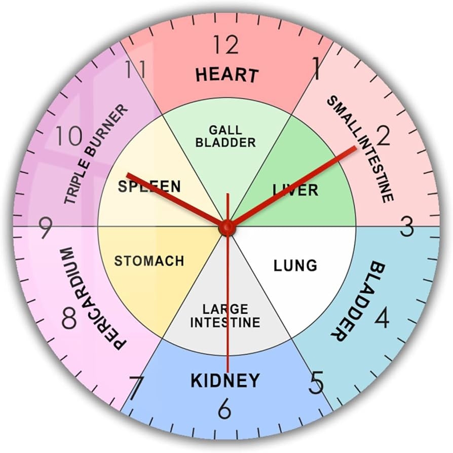 Amazon OTKU 12 Inch Wall Clock Chinese Organ TCM Body Clock Traditional Chinese Medicine Modern Design Wall Clock Energy Cycles For Health And Healing Artwork For Modern Wall Decor Home