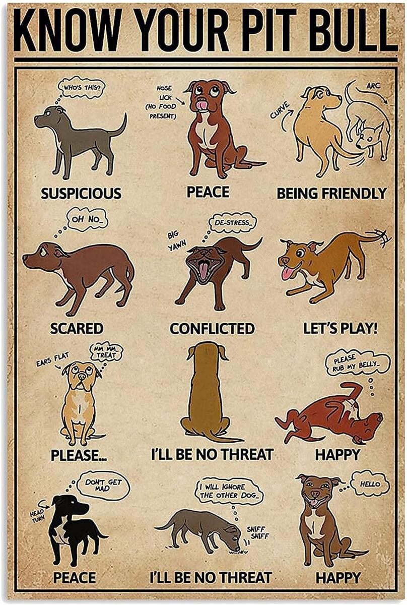 Amazon Pit Bull Body Language Knowledge Know Your Pit Bull Owner S Great Jigsaw Puzzles For Adults 1000 Piece Dog Puzzles For Adults Toys Gift Family Decoration Puzzles Toys Games Amazon Pit Bull Body Language Knowledge Know Your Pit Bull Owner S Great Jigsaw Puzzles For Adults 1000 Piece Dog Puzzles For Adults Toys Gift Family Decoration Puzzles Toys Games