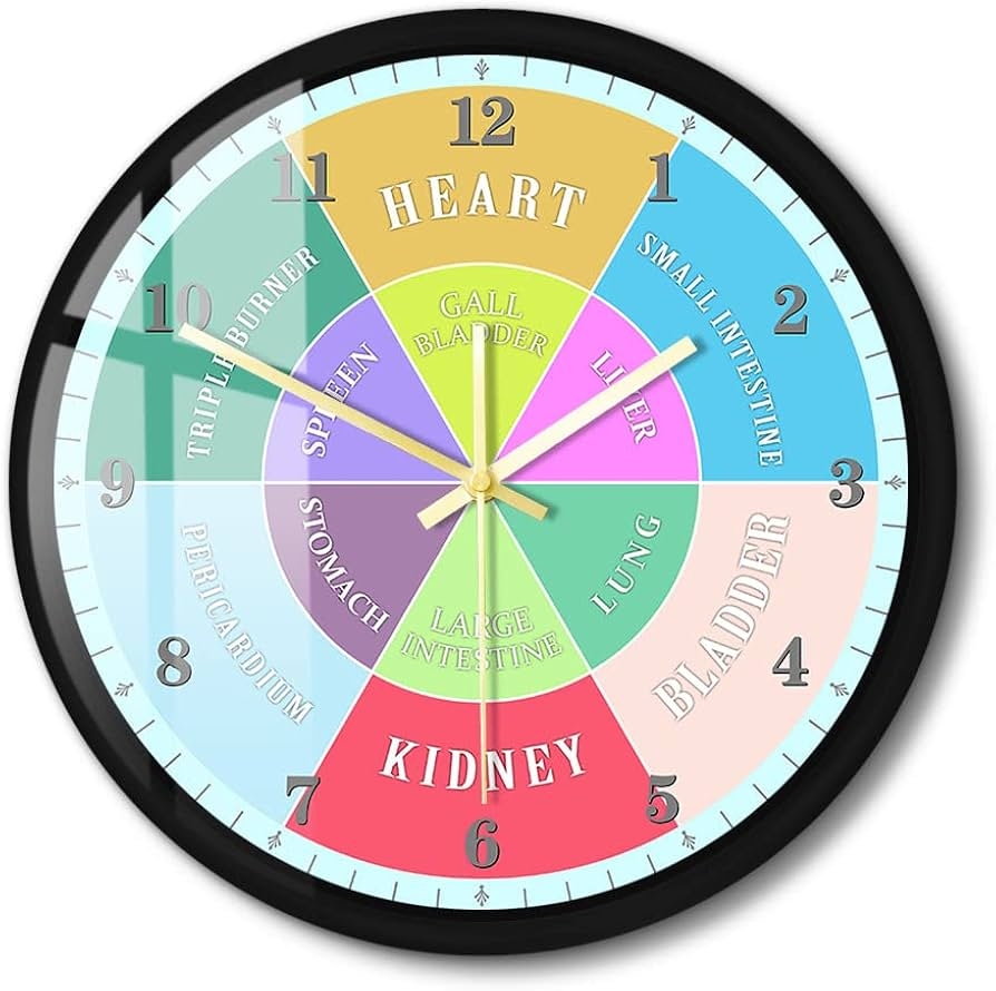 Amazon Timethink 12 Inch Chinese Organ TCM Body Metal Wall Clock Silent Non Ticking Traditional Chinese Medicine Healthy Healing Energy Cycles Wall Clock Organ Knowledge Wall Art For Bedroom Living Room