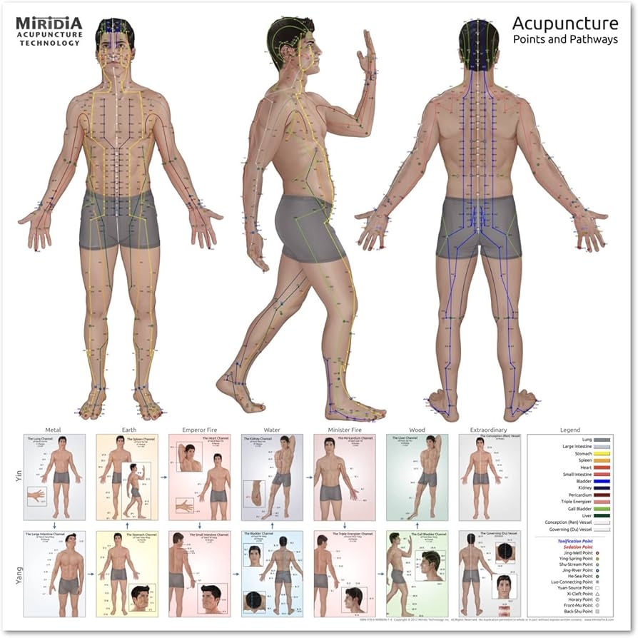 Amazon ULTIMATE Acupuncture Miridia Wall Chart For Office Wall Decor New Photographic Version Huge 36 X 36 Health Household