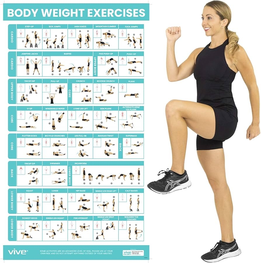 Amazon Vive Body Weight Exercise Poster Workout For Home Gym Laminated Chart Room Decor Accessories HITT For Abs Glute Core Legs Arms Back No Equipment Needed Artworkout