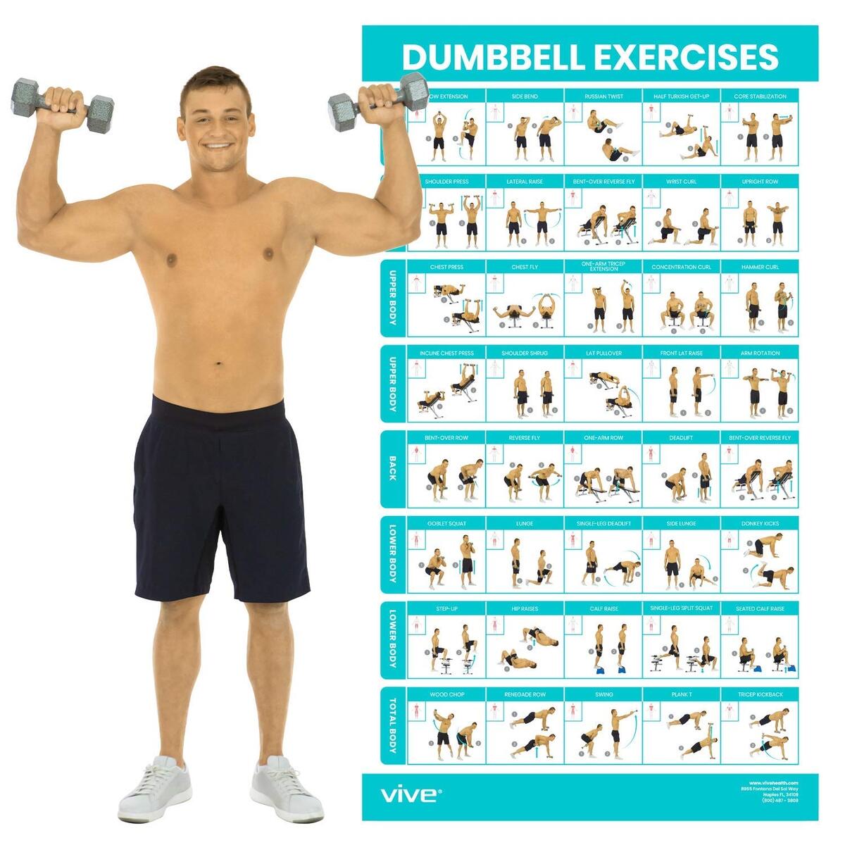 Amazon Vive Dumbbell Workout Poster Home Gym Exercise For Upper Lower Full Body Laminated Bodyweight Chart For Back Arm Core And Legs Free Weight Building Guide For Men Women
