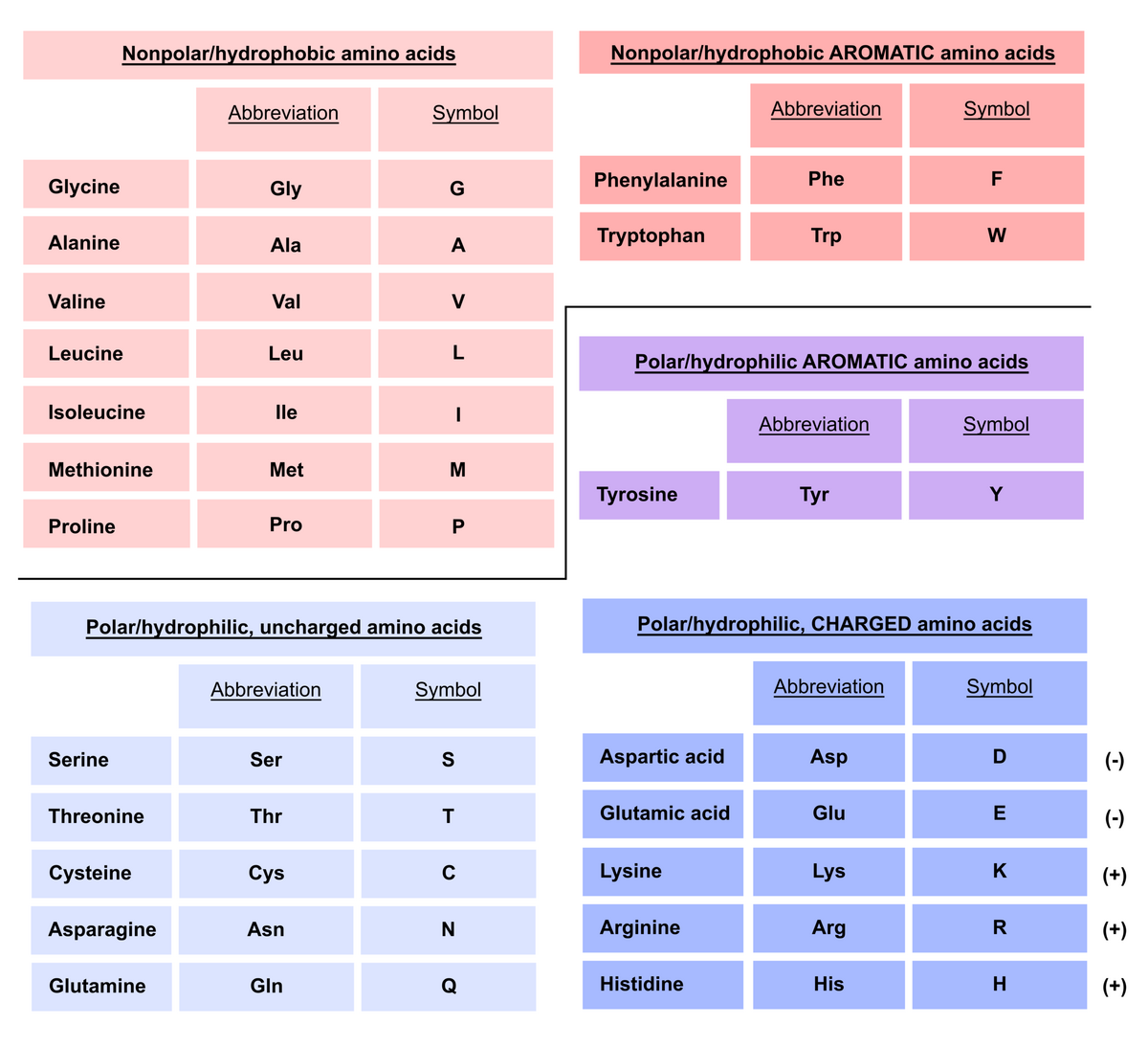 Amino Acid Structure And Classifications Article Khan Academy Amino Acid Structure And Classifications Article Khan Academy