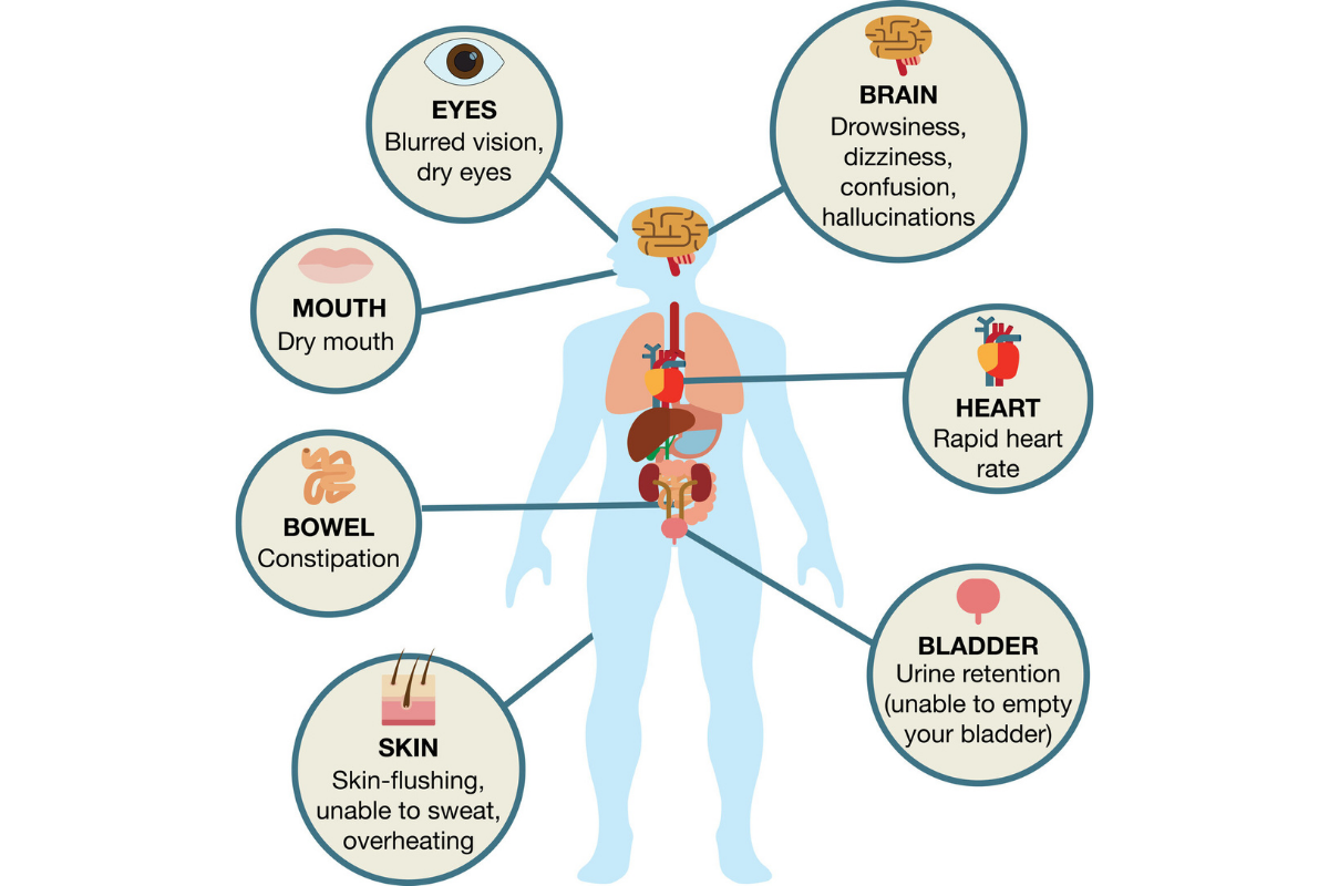 Anticholinergic Side Effects In The Older Adult Population Genomind