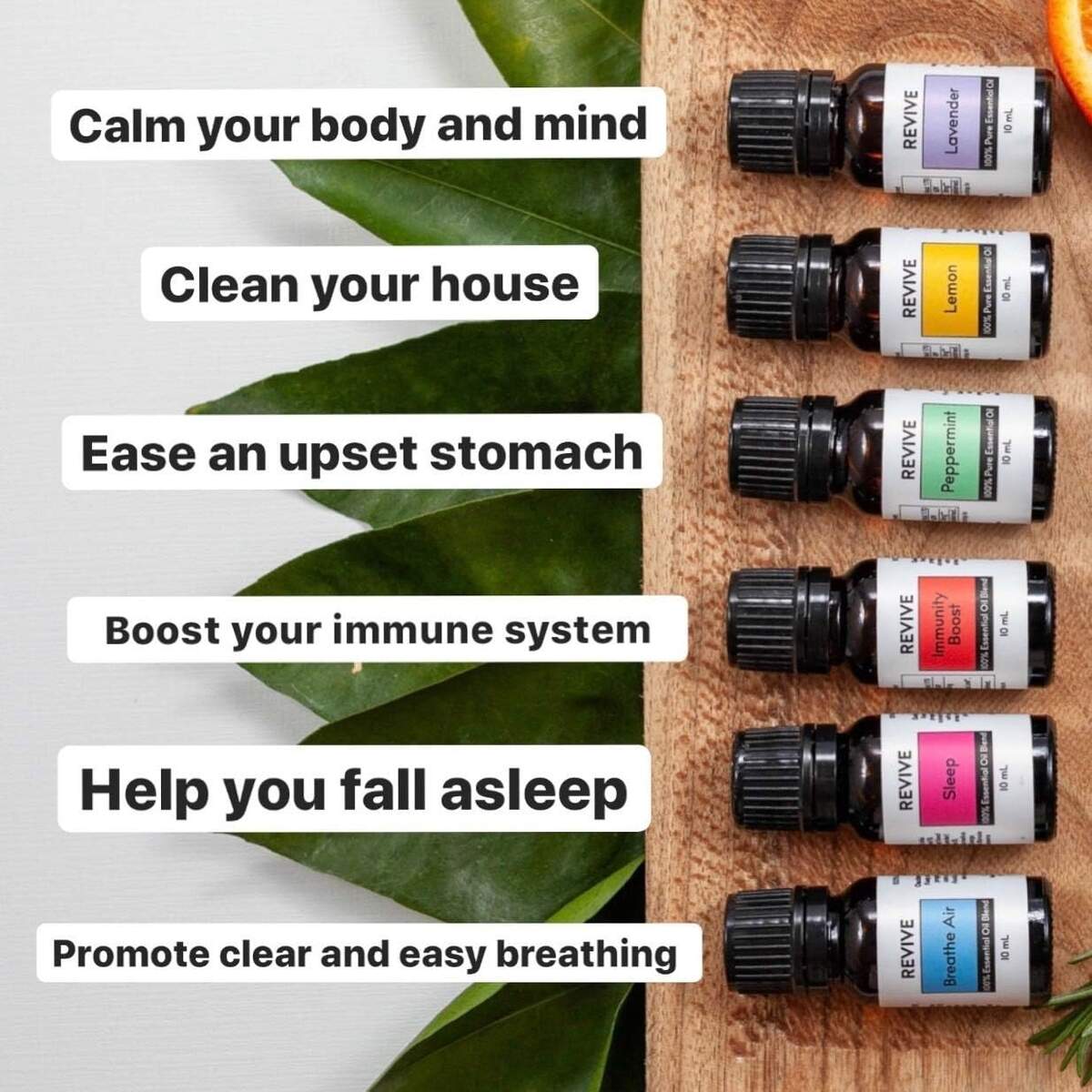 Aromatherapy Kits By Revive Essential Oils 100 Egypt Ubuy