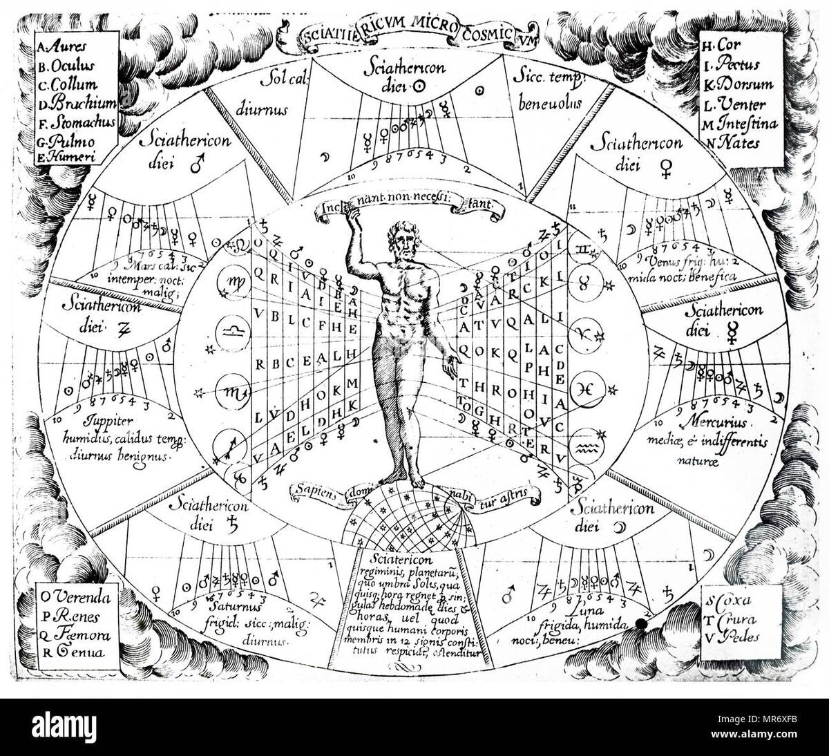 Astrological Chart Showing The Influences Of The Planets And Constellations On The Organs Of The Body Dated 17th Century Stock Photo Alamy