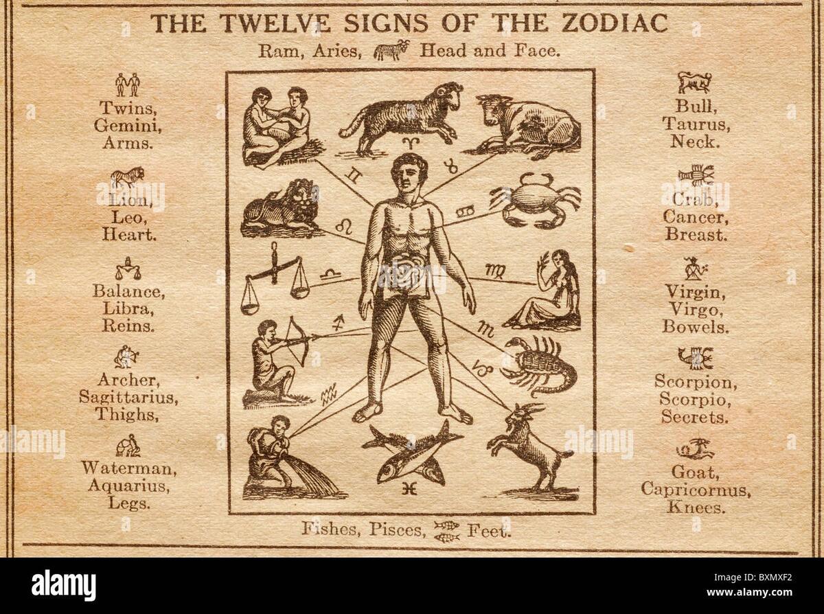 Astrological Signs Body Parts Hi Res Stock Photography And Images Alamy