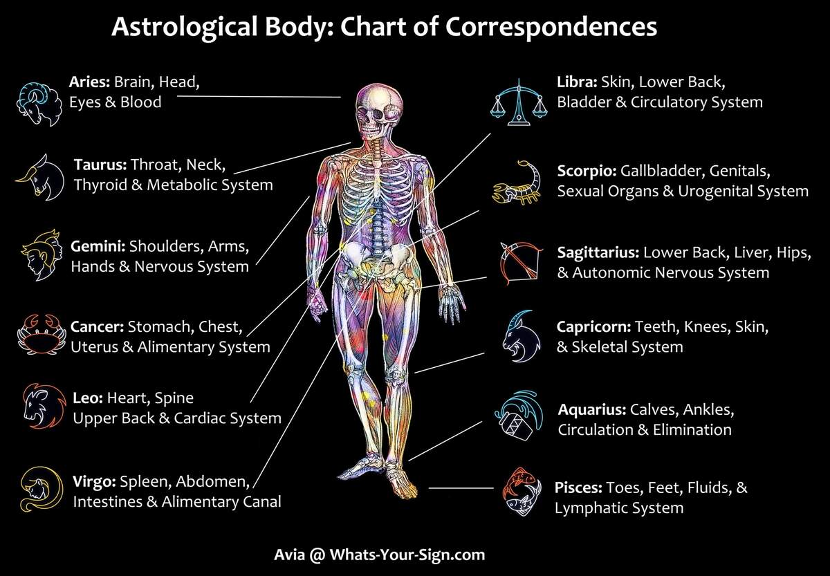 Astrology And Your Health Zodiac Signs And Corresponding Body Parts Whats Your Sign Astrology And Your Health Zodiac Signs And Corresponding Body Parts Whats Your Sign