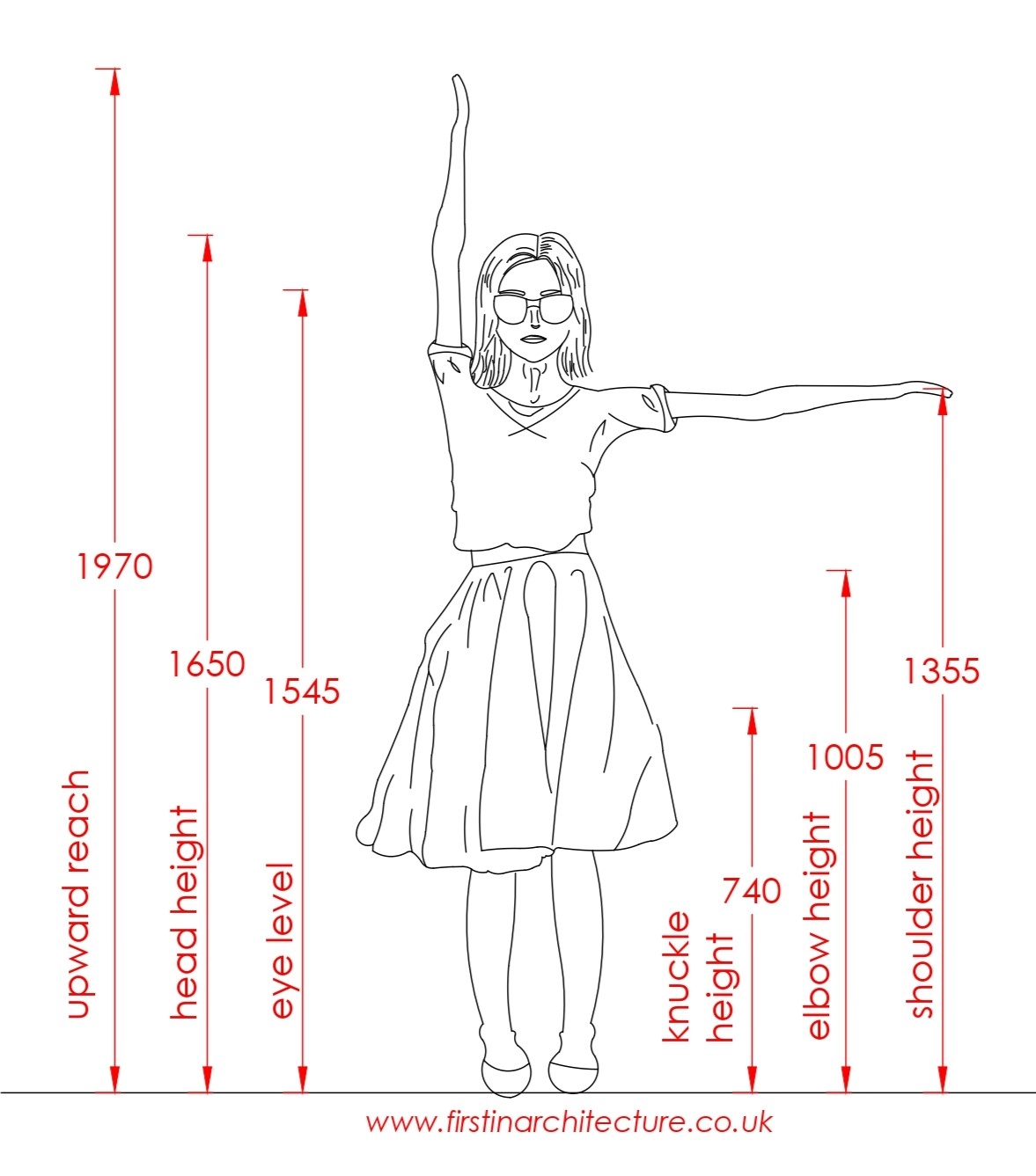 Average Male And Female Dimensions