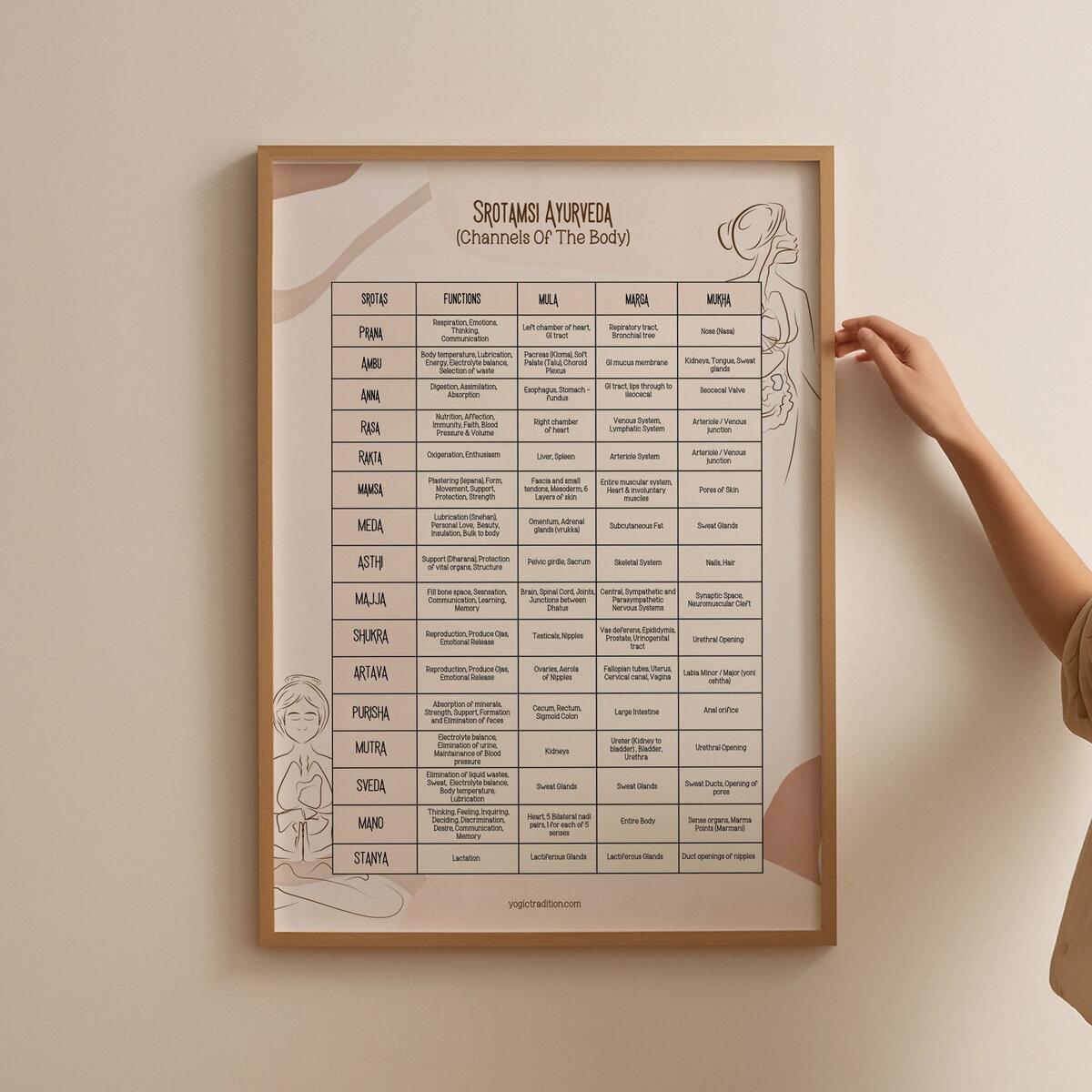 Ayurveda Poster Srotamsi Dhatu Dosha Chart Poster Channels Of The Body Ayurvedic Poster Alternative Medicine Well Being Holistic Health Etsy