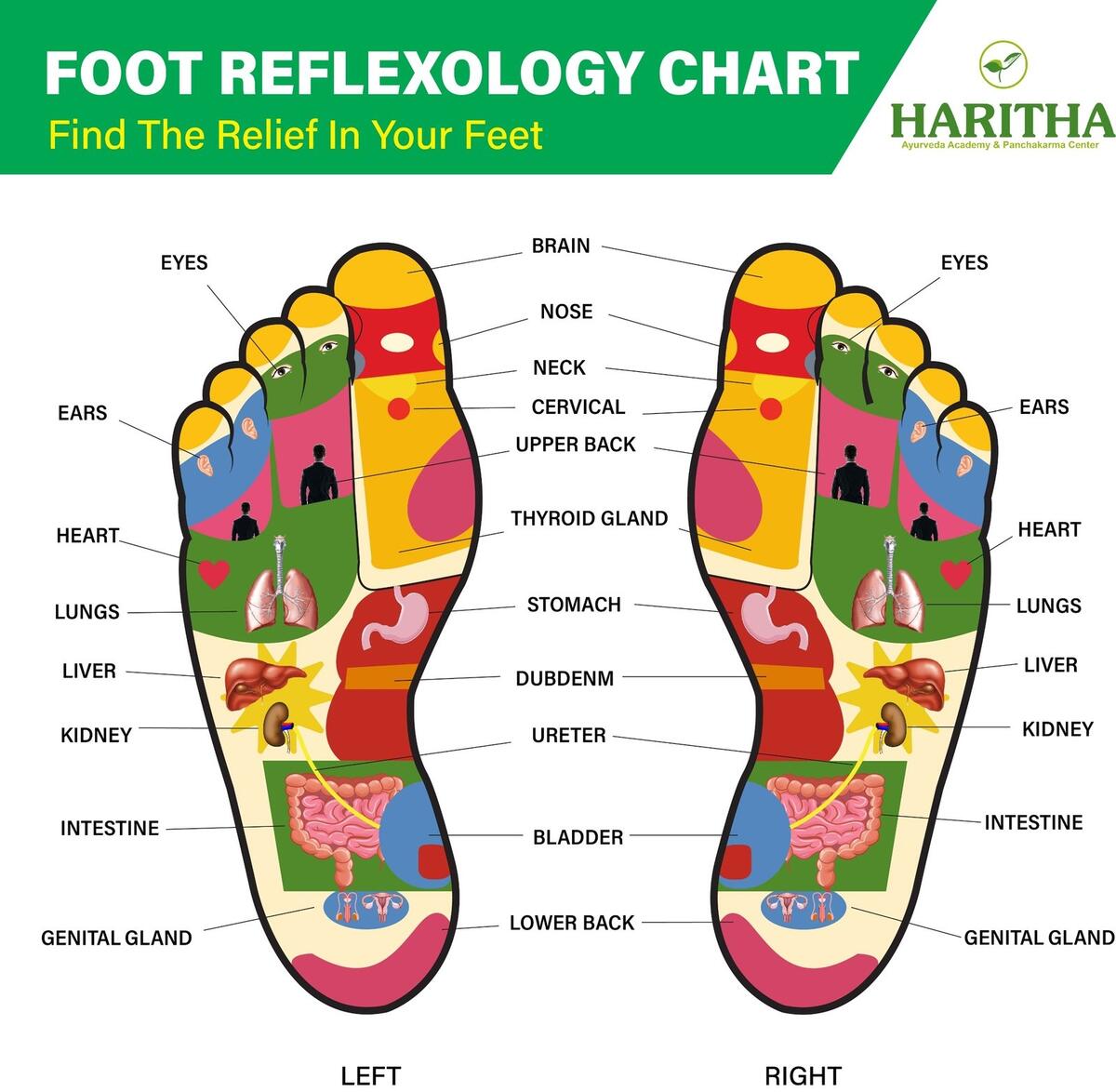 Ayurvedic Foot Massage Its Therapeutic Uses And Benefits Ayurvedic Foot Massage Its Therapeutic Uses And Benefits