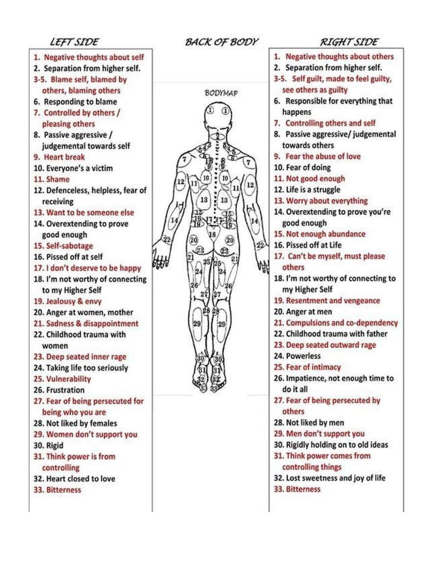 Back Of Body Reflexology Chart For Acupuncture And Massages Etsy Finland