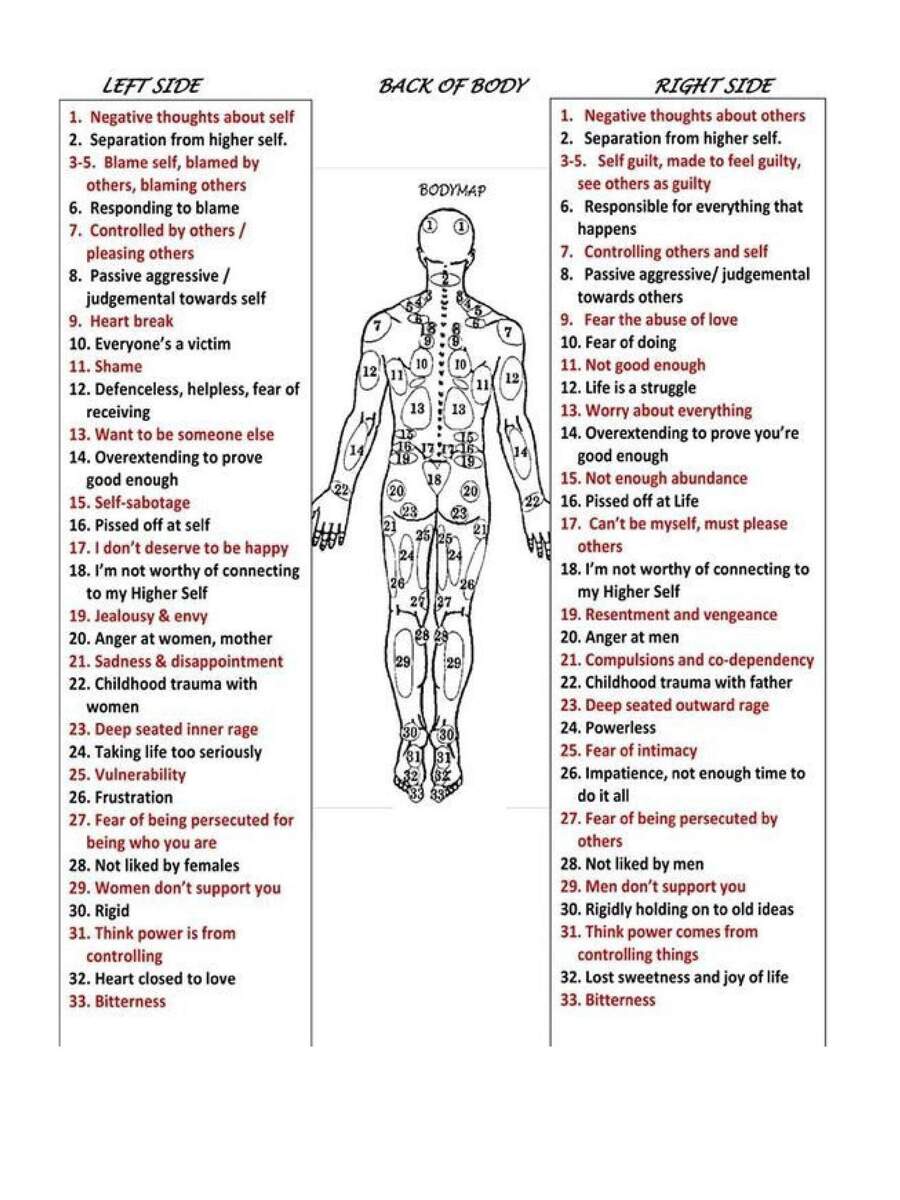 Back Of Body Reflexology Chart For Acupuncture And Massages Etsy Finland Back Of Body Reflexology Chart For Acupuncture And Massages Etsy Finland